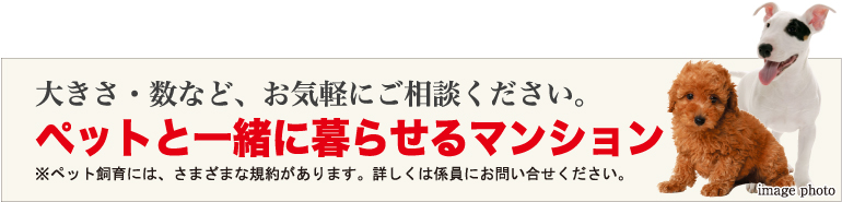 傫EȂǁACyɂkBybgƈꏏɕ点}V